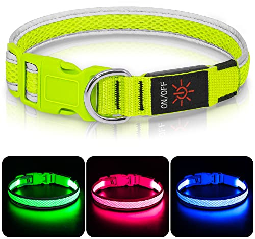 Colaseeme leuchthalsband Hund aufladbar, USB-C, wasserdicht, grün L | 3 Leuchtmodi hundehalsband leuchtend, Sicherheit bei Nacht, Akku langlebig verstellbar regenfest, Gassi Outdoor