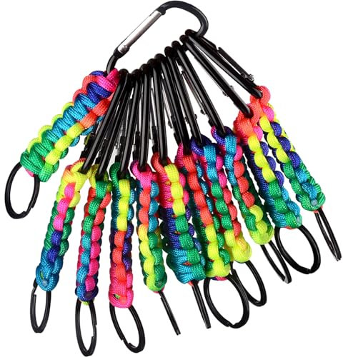 10 Stück Karabiner Schlüsselanhänger, mit Geflochtenes Lanyard, Karabiner Verschluss Schlüsselband Personalisiert Schlüsselanhänger Ring-Haken-Clip Jungen Mädchen (Farbe)