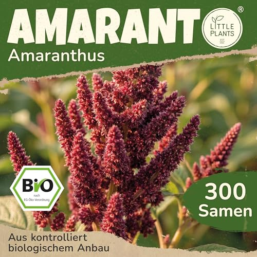 Little Plants BIO Amarant Samen 300 Fuchsschwanz Samen Blumensamen Samenfest für Blumengarten Blumen Saatgut Balkon und Garten