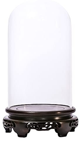 TANYTAO-SHOP Blumentopf Ständer Dome Glas Cloche mit holzvase Basis dekorative vitrine Display for antike sammeln Bell jar Terrarium für Blumentopf, Pflanzenständer