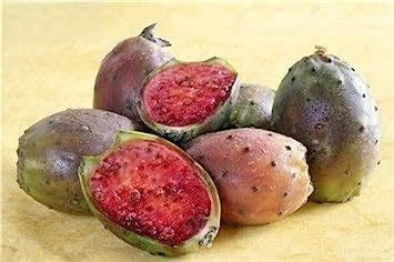 100 Pz Opuntia Semi di fico d'India Rare dolce alta nutritous Cactus commestibili frutti sani Flower Garden t Pianta grassa 13:Seeds