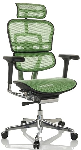 hjh OFFICE Bürostuhl ergonomisch ERGOHUMAN GEN2 Originales Design, 24h Einsatz Bürosessel mit Flexibler Lordosenstütze, Netz Grün