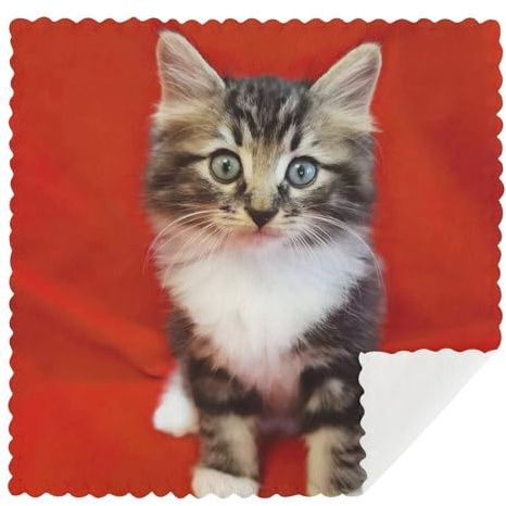 GFLFMXZW Strofinacci riutilizzabili morbidi da cucina assorbenti lavabili ad asciugatura rapida stracci per lavare i piatti panni per la pulizia 30,5 x 30,5 cm