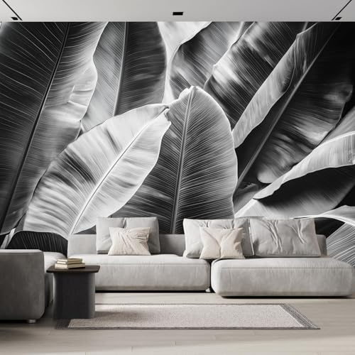 Wallpaper Papier Peint Panoramique Feuilles Palmier Noires 450×315cm Poster Geant Mural，3D Grandes Feuilles Peinture Murale Papier Peint Salon Chambre