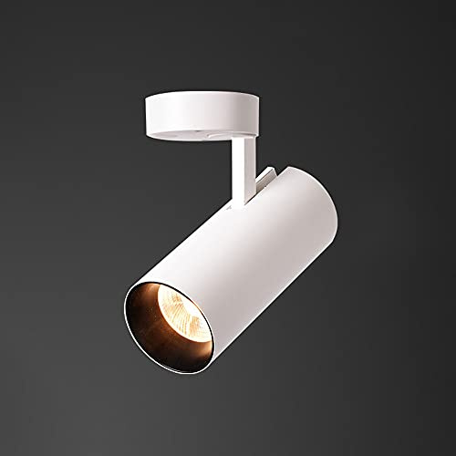 TXCLTS Spotlight del soffitto a LED Illuminazione a Punta Accento Poco Profondo, Lampada a soffitto Regolabile, riflettori a soffitto Nordico sconde per Parete per scaffale del Letto Camera da Letto