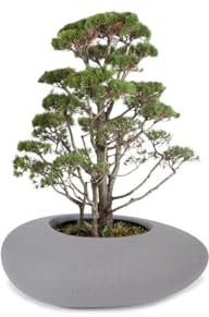 Degardo Storus VI Design Pflanzgefäß (Beton) 82,5cm x 52cm x 30cm, Gartendeko - Dekostein - Stone - Pflanzstein - Blumentopf - Innen und Außen