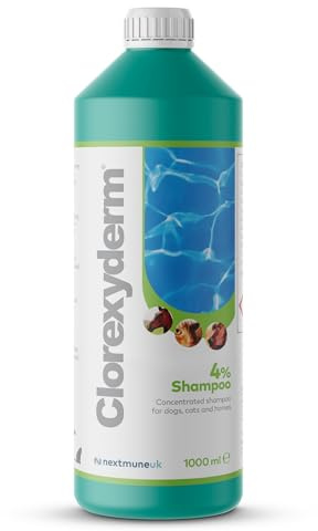 ICF | Clorexyderm 4% Dog Shampoo for Itchy Skin Relief | Anti Itch + Antifungal + Antibacterial Shampoo for Dogs, Cats & Horses with Sensitive Skin 1000ml