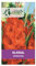 5 bulbes de fleurs Glaïeul Hunting Song - orange rouge