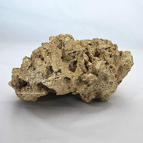 Riffgestein, 22 x 22,5 x12 cm, Felsen Nachbildung,Meerwasser Aquarium Deko