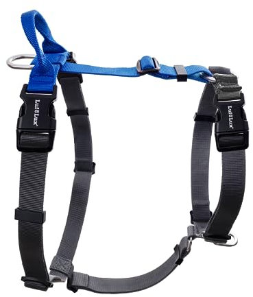 LufeLux Nicht einschränkendes Hundegeschirr ohne Ziehen, klein, Halsschnalle, Sechspunkte Anpassung, 2 D-Ringe für Rücken und Frontclip, Training, Freiheit, einfaches An- und Ausziehen (Blau/Schwarz,