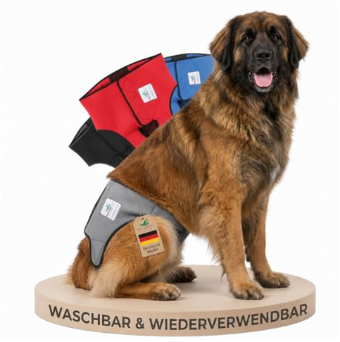 NATURE PET LÄUFIGKEITSHOSE FÜR HÜNDINNEN – Hundewindeln für Hündinnen & Rüden – Waschbare Inkontinenz-Hundewindel ohne Einfädeln der Rute – Verstellbar & bequem – XL/Grau