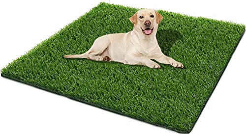 SSRIVER Tappeto Erboso Artificiale per Cani e Erba, Zerbino per Interni ed Esterni, Tappeto Erboso per Cani, Tappetino per Addestramento, Patio, Prato Inglese (XL: 80 x 130 cm