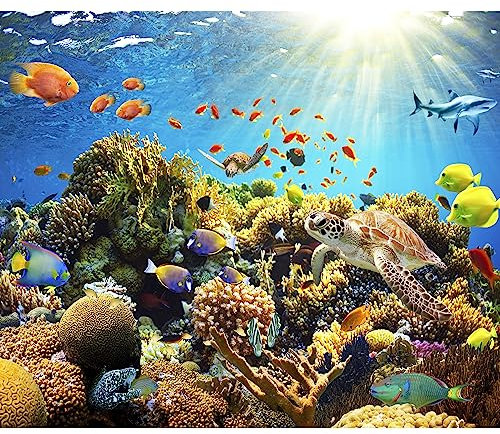 murando - Fototapete Premium-Vlies Aquarium 350x256 cm - Foto Tapete Schlafzimmer Wohnzimmer Moderne Vliestapete XXL Wandtapete Motivtapeten Bildtapete 3d Effekt - Unterwasserwelt b-A-0002-a-a