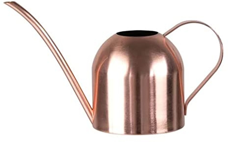 GTOULHH Arrosoir pour Plantes Interieur Arrosoir À Longue Bouche for Plantes Vertes, Outil De Jardinage en Acier Inoxydable, Arrosoir Plantes en Pot Arrosoir(Rosd Gold,900ML)