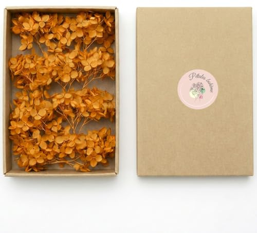 20 Brins d'hortensia stabilisé Orange Curry Vrai Hortensia, Fleurs éternelles pour décoration Mariage DIY Bougies Bijoux résine Mini bouquetge (Orange)