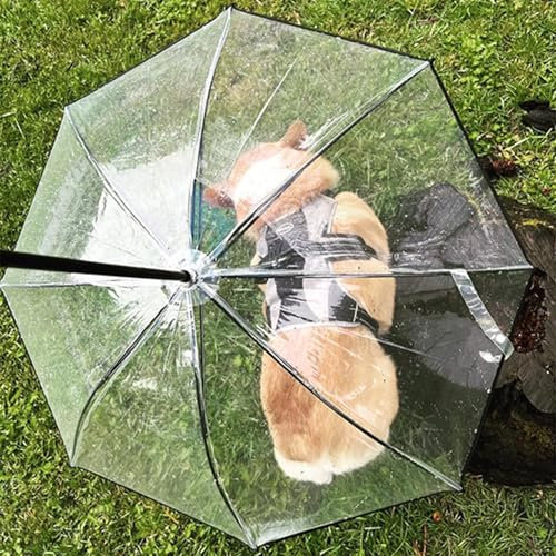 EXCLURA Hunde Regenschirm Hundeschirm mit Verstellbarer Leine, Faltbarer Kleiner Haustierschirm Hält Welpen Beim Spazierengehen im Regen Trocken, Leichter Haustierschirm, Einfach Zusammenzubauen