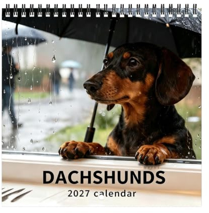 Calendrier Teckel 2027 Planificateur Chien Mignon Décoration Salon