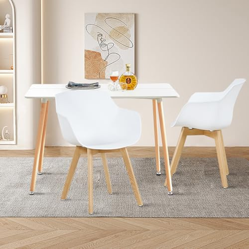 LafeuR Essgruppe Esstisch mit 2 Stühlen Esszimmergruppe, Rechteckig Küchentisch und 2er Set Esszimmerstühle mit Armlehnen für Küche Wohnzimmer Garten Balkon(Weiß Tisch+2 Weiß Stuhl)
