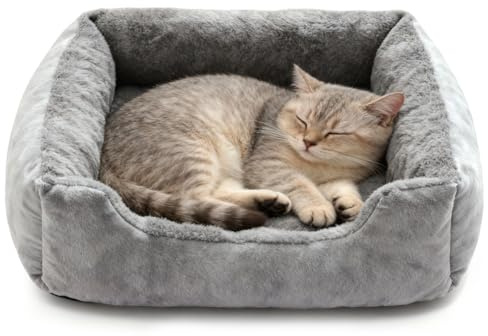 Meenewching Kattsäng, mjuk, 50 x 40 cm, hundsäng, små hundar, tvättbara kattkorgar och hundkorgar med halkfri undersida, husdjurssoffa med hög kant, för valpar och katter, grå