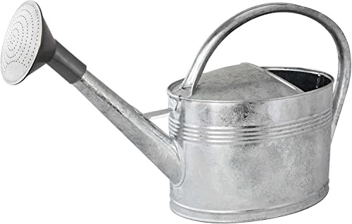 Gießkanne 10 l + Brausekopf