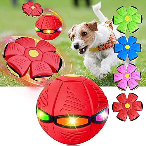 Bola de platillo Volador de Juguete para Mascotas, Juguetes para Mascotas Juguetes para Perros Juguete de Bola de platillo Volador mágico, Platillo Volador Pelota de Juguete para Perros