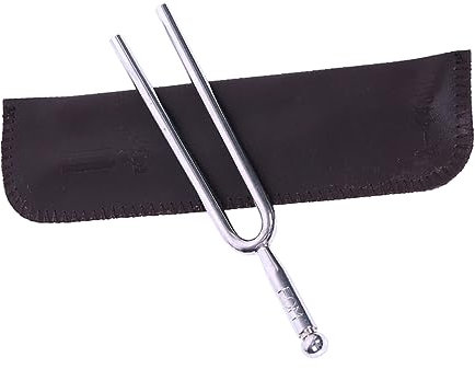 GOOHOCHY Diapason en Acier Inoxydable Standard International Accordeur de Tonalité Pratique pour Instruments de Musique à Cordes Fourchette Sonore avec Étui de Rangement Argenté,