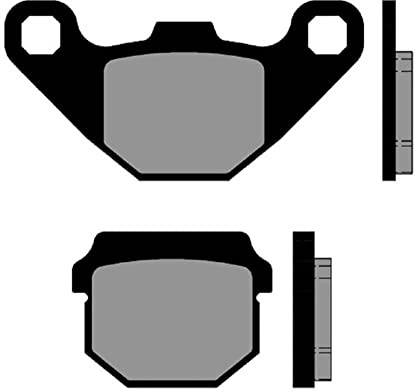 Brenta organische Motorrad-Bremsbeläge für Adly ATV 150,ATV 300, Aeon Aero 50, Regal 50, Maico