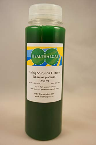 Spirulina platensis Lebendkultur (250ml) - Lebendalgen - Startkultur - Spirulina zu Hause wachsen Schwedisch angebaut, mit Spirulina Grow Manual, Kombucha (250)