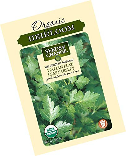 . Fruta de la Grosella Bonsai, Juicy Fruit Grosella Orgánica Bonsai Bonsai el alimento nutritivo de Alta Seedssplant para jardín Pot 50 PC: 21