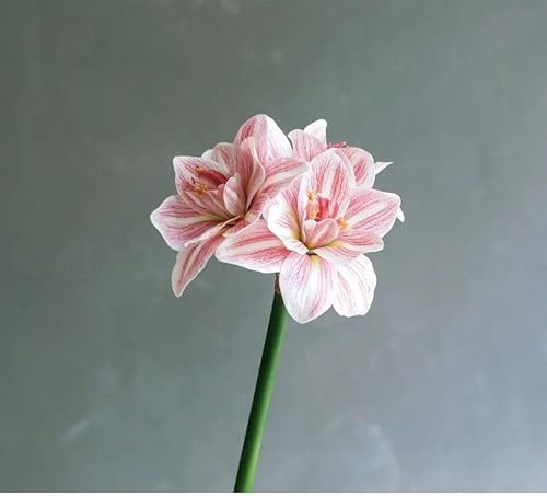 HXSCOO Real Touch Künstliche Amaryllis-Blume Fleurs Artificielles Tischhochzeitsdekoration PU Kunstblumen Deko Mariage Flores (Color : C)