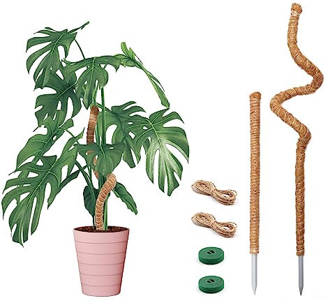 Bendable Moss Pole for Plants Monstera, Bendable Plant Stakes Moss Poles for Potted Indoor Climbing Plants, Handmade Coco Coir Pole Plant Support for Creeper Plants Grow Upwards, 2 Pack, 25 In/48 In