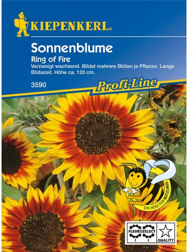Helianthus annuus Sonnenblume Pro Cut Bicolor gelb mit rotem Ring