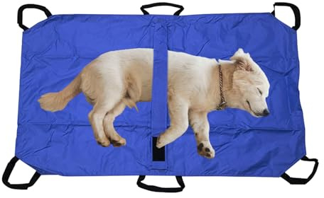 Transporte: hoja de transporte plegable para perros, eslinga portátil de rescate de animales, hoja de transferencia de movilidad ligera, ayuda de evacuación para gatos y perros grandes