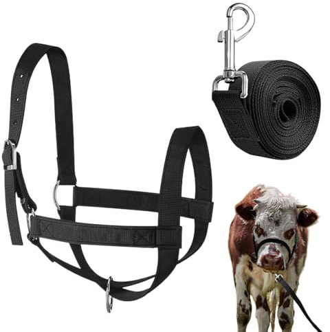 Qkbuza Kuhhalfter, Trainingshalfter und Führstrick | Show Livestock Heavy Duty Nylon verstellbar für Ranch-Farm Rasen Hof Grasland Ziege Fohlen Lamm