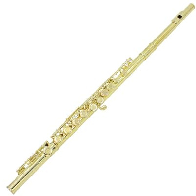 Flöteninstrument 16 Löcher E-Taste C-Taste Flöte Weißkupfer Gold Anfängerprüfung Professionelle Leistungsflöte(Leather box)
