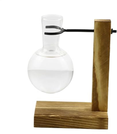 Wasserverbreitungsstation, Pflanzenverbreitungsgläser, Propagierende Station mit hölzernen Ständer Propagateinbudenhalter, Blumenregalhydroponischer Behälter Vase -Gläser für Frauen, Mutter, Zuhause
