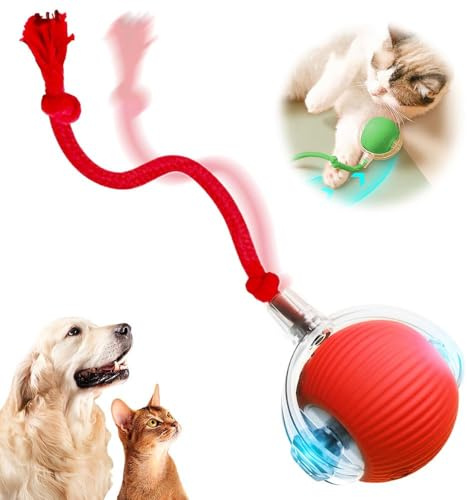 HOIDOKLY 2026 Nouveaux Ball Automatique Interactif, Jouets à Balle Roulante Interactifs, Rechargeables, Actifs, Chat, Chien, Animal de Compagnie, Jouets Intérieurs, Matériaux Durables et Sûrs (Rouge)