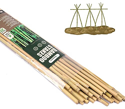 Cambaverd Bamboo Stakes 4ft Natural Plant Stakes for Tomatoes, Beans, Climbing Plants Support - 25 Pack Bamboo Sticks for Plants