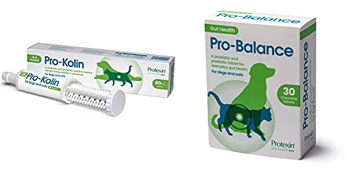 Pro-Kolin for Dogs and Cats Probiotic Paste and Syringe, 60ml & Pro-Balance Probiotic for Dogs and Cats – Daily Chewable Probiotic and Prebiotic Tablet for Digestive Health Support – Pack of 30