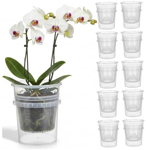 Ameble 10 Confezioni Vasi per Orchidee Trasparenti da 4, 3 Pollici con Fori, Fioriera Trasparente Autoirrigante per Phalaenopsis, Cura Semplice per Principianti, Crescita delle Radici Visibile