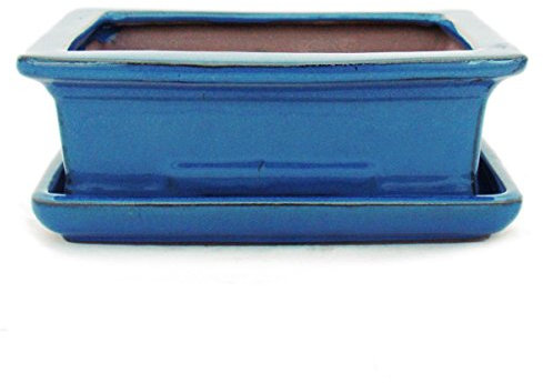 exotenherz - Bol à bonsaï avec soucoupe taille 3 - Bleu - carré - Modèle G29 - L 18 cm - l 13 cm - H 6 cm