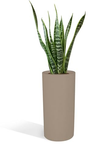 Kloris Vase Hauteur 70 cm Porte-Pot modèle Baroque jardinière cylindrique polyéthylène 35 x 35 x 70 cm Profondeur Compartiment 26 cm. Fabriqué en Italie.