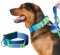 Spark Paws Taktisches Hundehalsband – Robuste, Premium-Qualität, Dick und Langlebig für Große und Mittelgroße Hunde - Lime Wave - M, 5cm