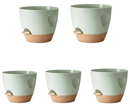 Lot de 5 bols pour plantes avec plateau amovible, structure d'irrigation automatique pour jardinage intérieur