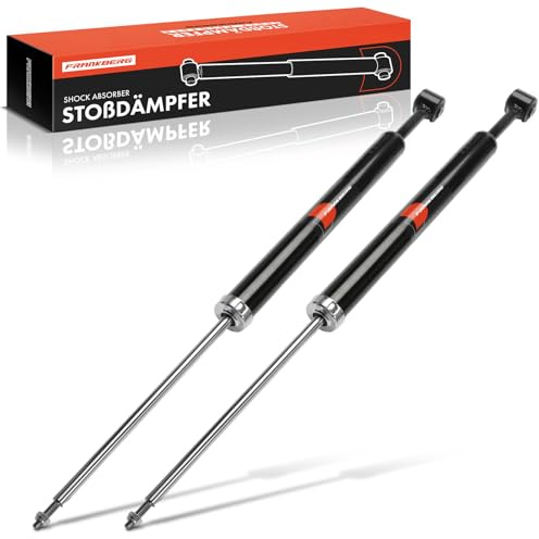 Frankberg 2x Stossdämpfer Stoßdämpfer Hinten Links Rechts 3410011 | Kompatibel mit Ecosport