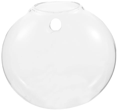 Hängender Glasblumentopf Wandvase aus Glas für Zuhause Balkon | Durchsichtige Ausführung, Vielseitig Einsetzbar, Dekorative Hängevariante