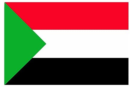 bandera de palestina|Bandera nacional de Palestina 3x5 pies Impresión digital resistente a la decoloración UV con ojales de metal sin poste