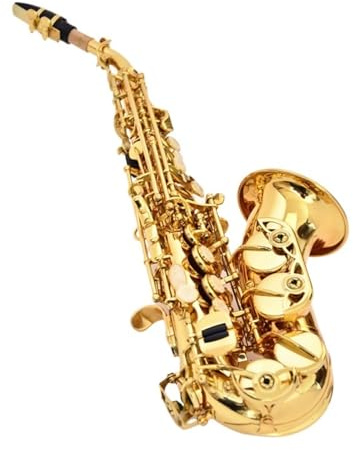 Goldlackiertes Professionelles Altsaxophon B Altsaxophon Für Anfänger Und Erwachsene Profis