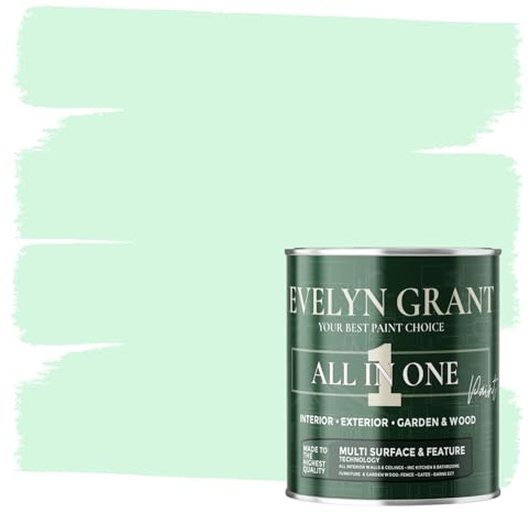 Evelyn Grant All-IN-ONE Paint & Primer - Multi-Surface Paint For Interior Walls, Outdoor Garden & Exterior Walls, Wood Furniture | High Durability Multi-Feature - Mild Mint - 1L - Matt