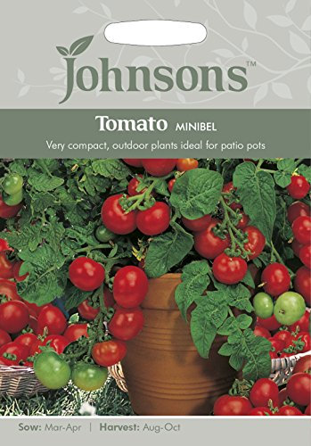 Johnsons 24871 Vegetable Seeds, Tomato Minibel, Green